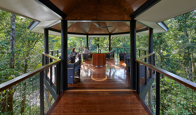 Experience The Daintree