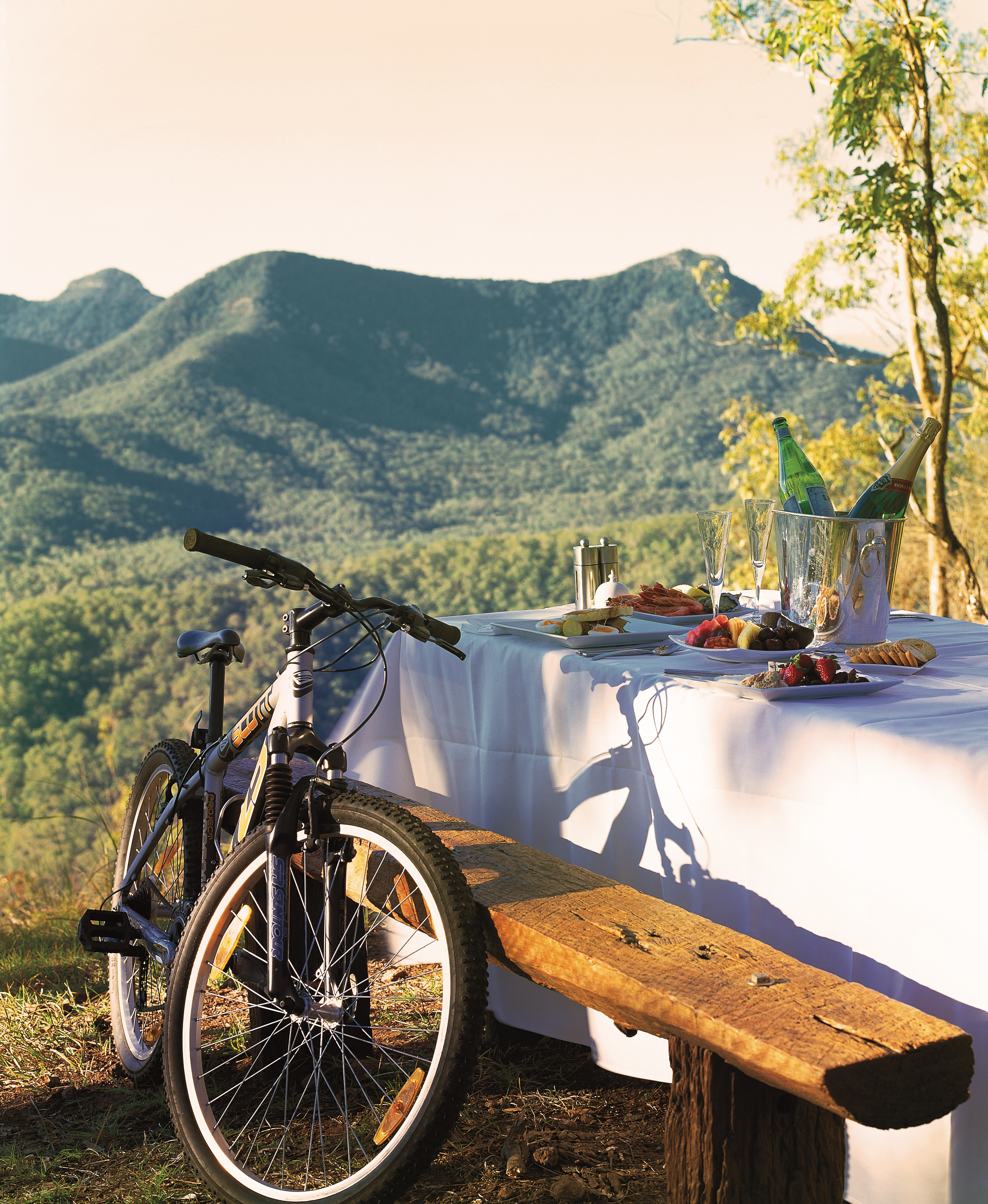 Spicers-Peak-Lodge_Scenic-Rim_Picnic-Mountainbike-Highres - Click to view larger version