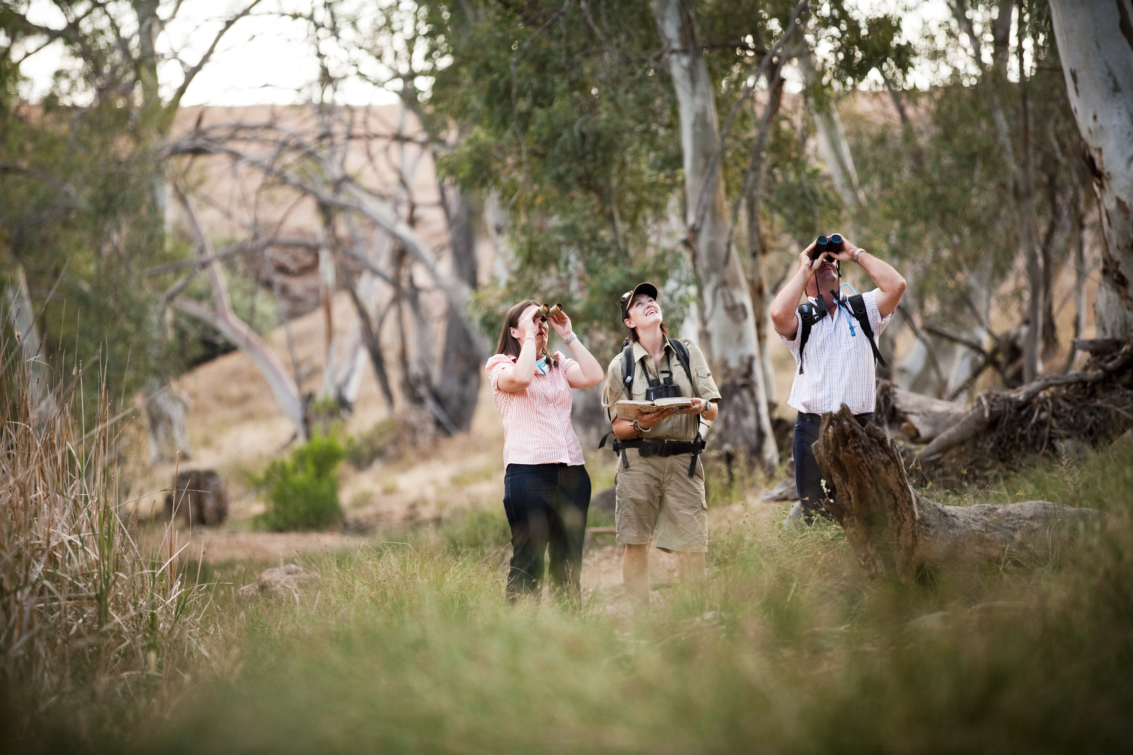 Arkaba_Flinders-Ranges_Bushwalk-Binoculars - Click to view larger version