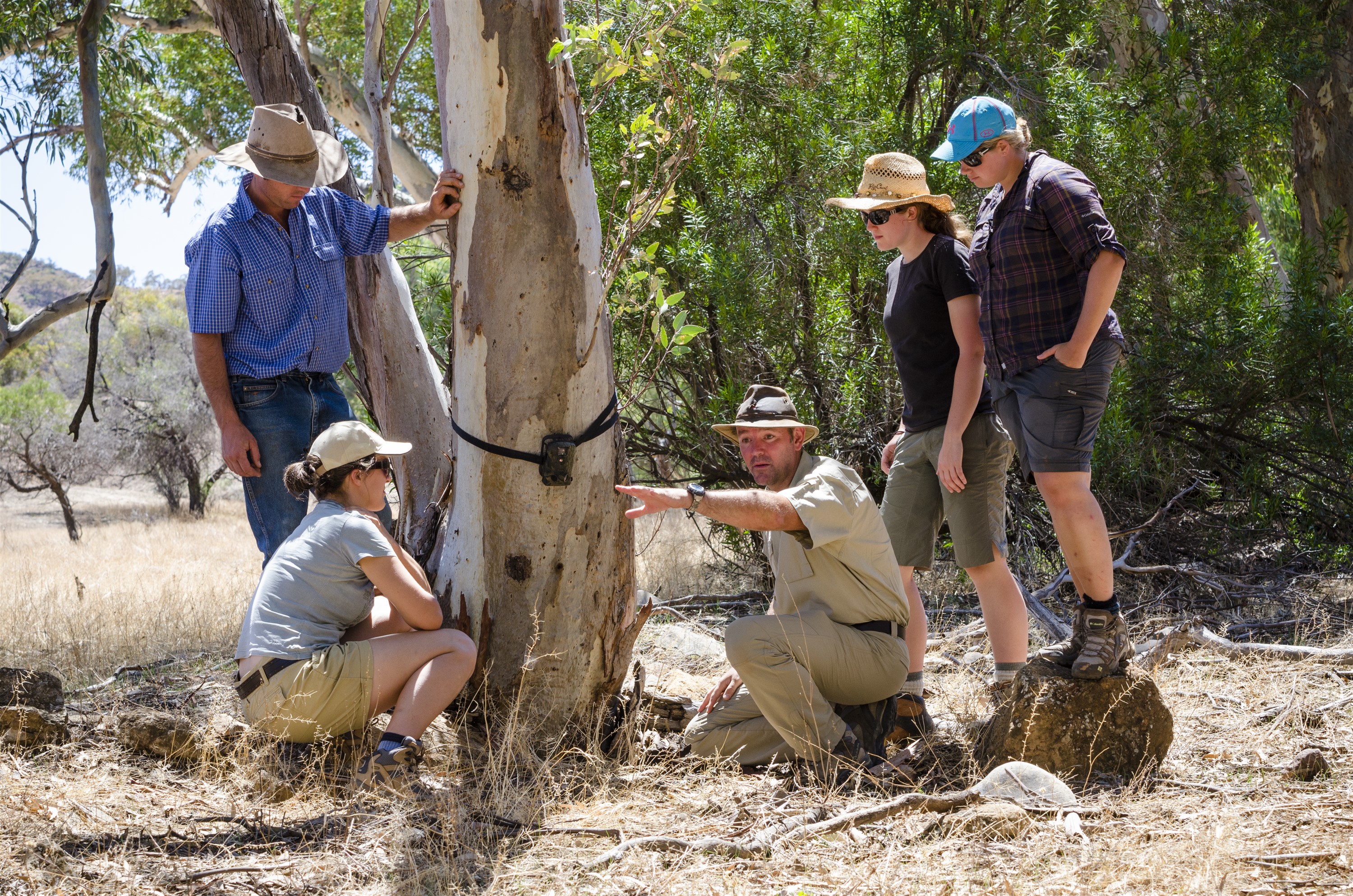 Arkaba_Flinders-Ranges_Conservation-Group - Click to view larger version