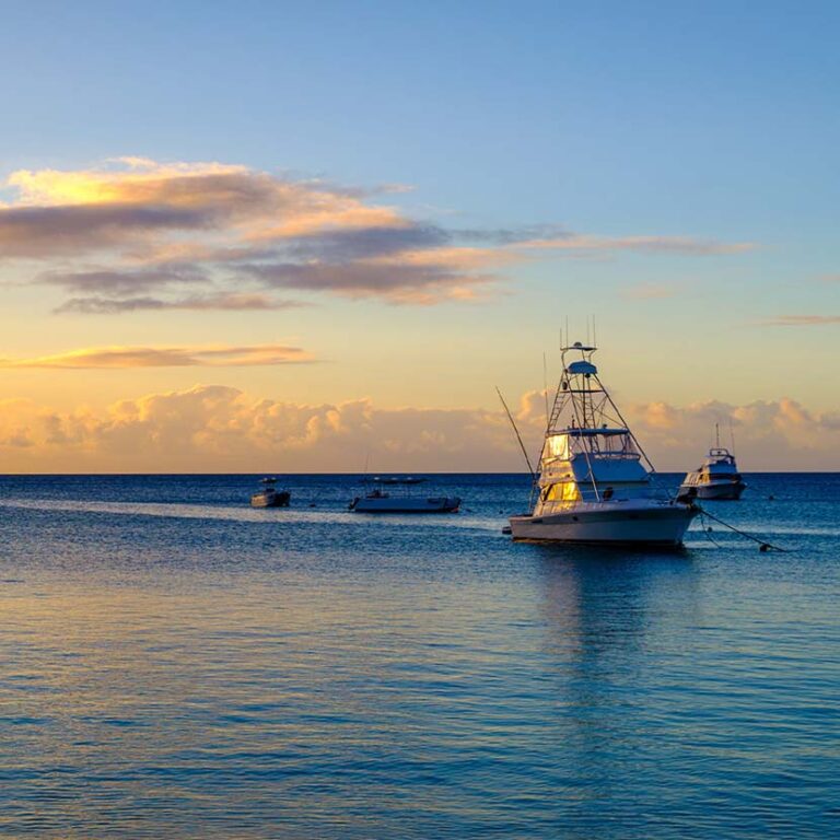 Marlin Season On Lizard /sland