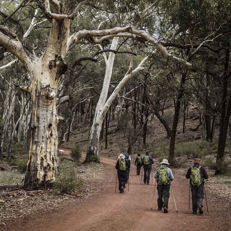 Wangara Lookout