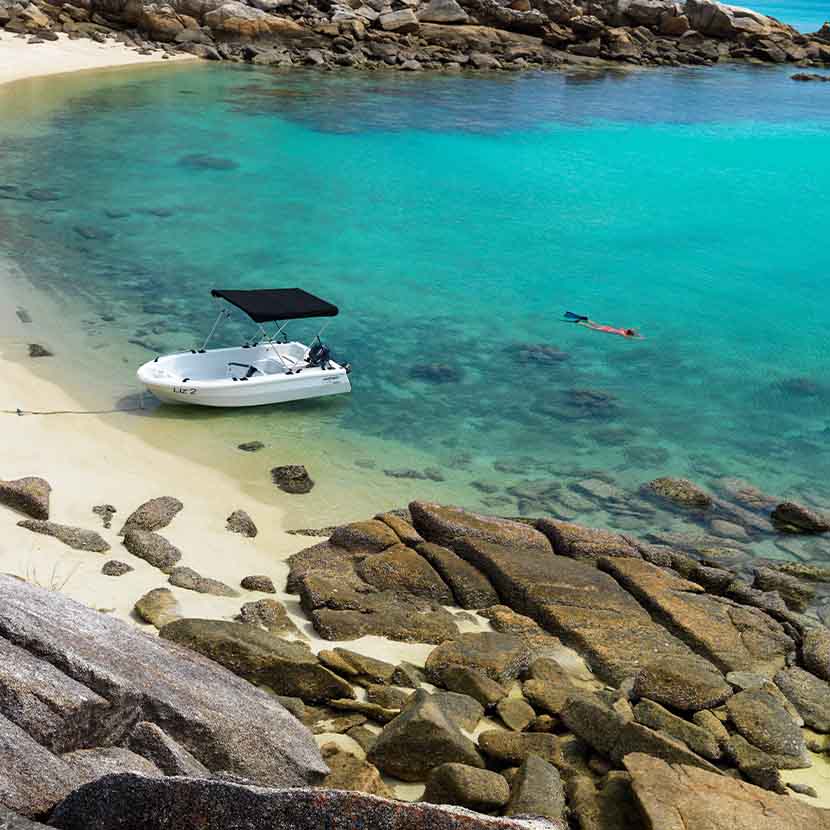 Lizard Rowing A Boat Motorised Dinghies - Luxurylodgesofaustralia.com.au