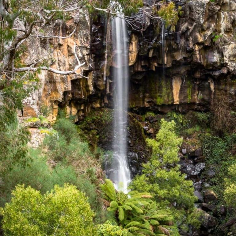 Walks & Hikes Around Daylesford