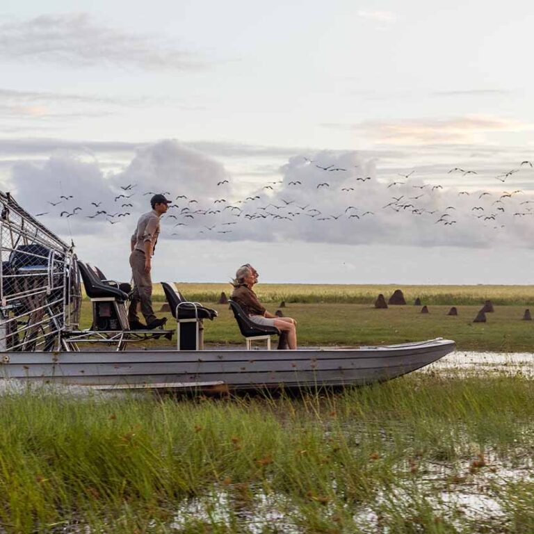 Airboat Safari