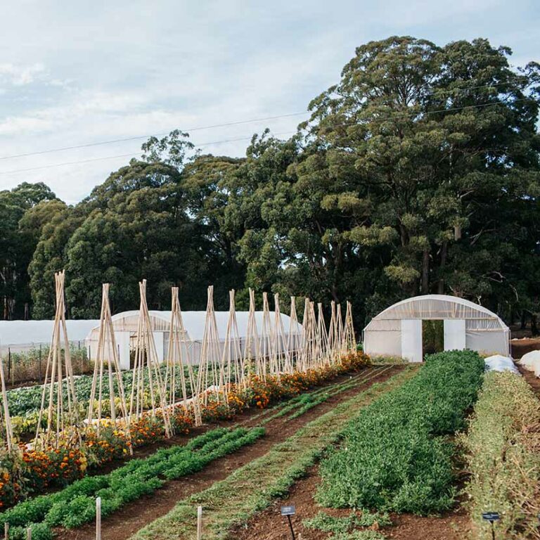 Dairy Flat Gardens & Bakehouse