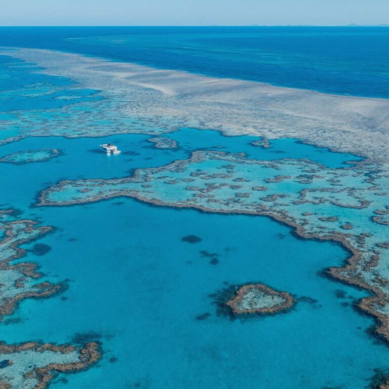 Dive Or Snorkel The Great Barrier Reef By Helicopter