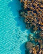 Sal-Salis_Ningaloo-Reef_Aerial-Reef - Click to view larger version