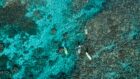 Sal-Salis_Ningaloo-Reef_Paddleboarding-Reef - Click to view larger version