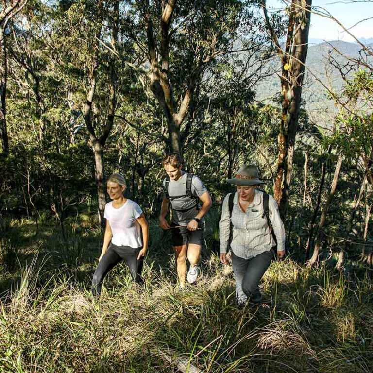 Nature Walk /n Queensland’s High Country