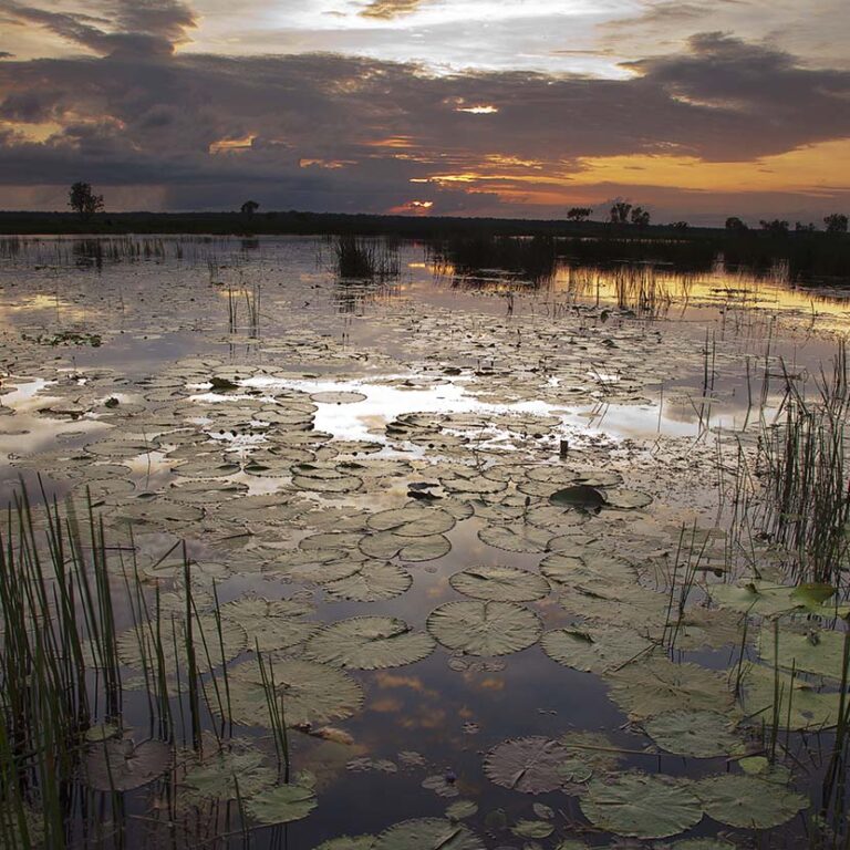 Top End / Kakadu