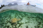 Capella-Lodge_Lord-Howe-Island_Marine_Sanctuary - Click to view larger version
