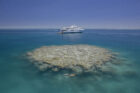 True-North_Rowley-Shoals_Coral-Island_Snorkel_Hero - Click to view larger version