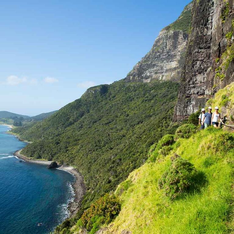 Mount Gower Hike