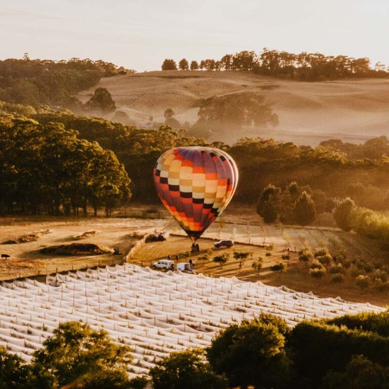 Hot Air Ballooning Over Daylesford