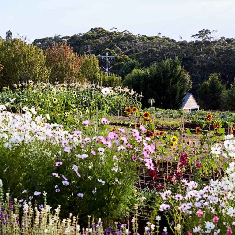 Dairy Flat Gardens & Bakehouse