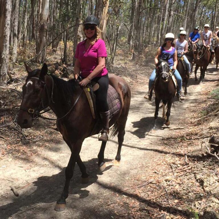 Horse Trail Ride