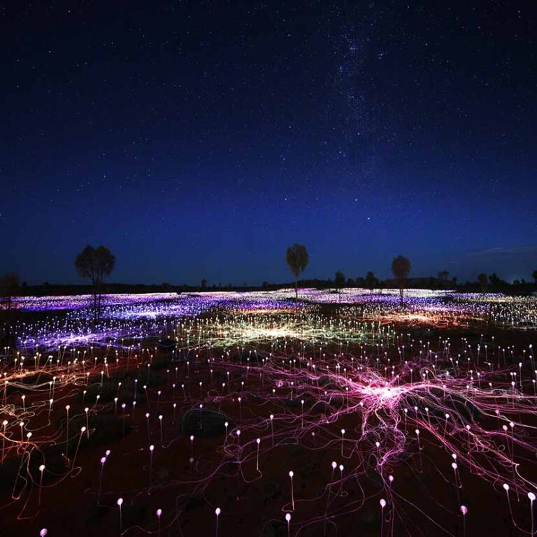 Field Of Light