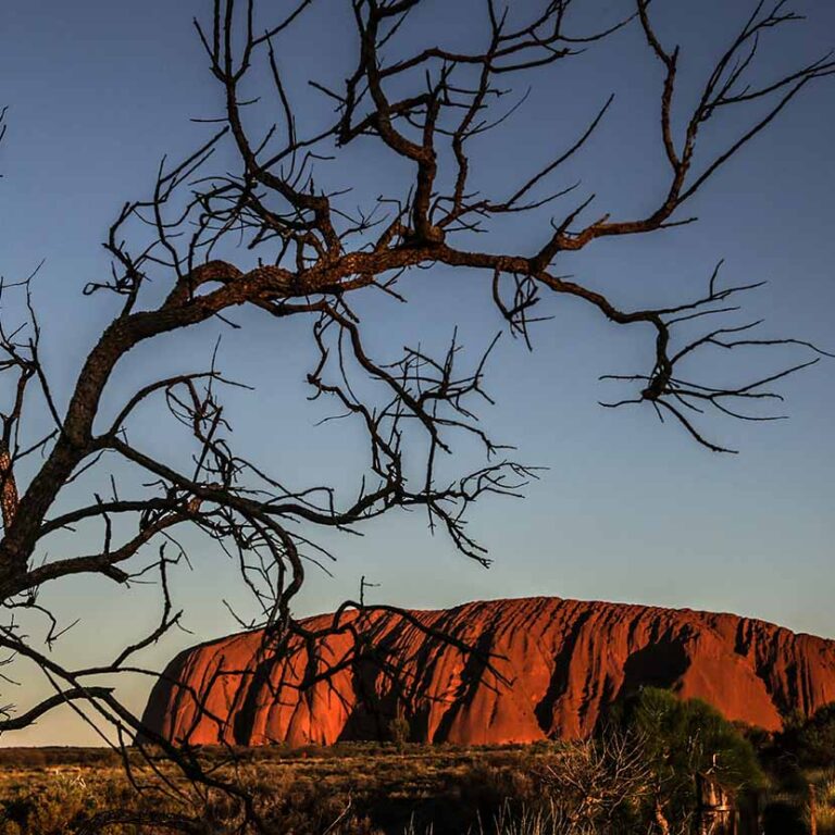 Uluru Sunset Drinks