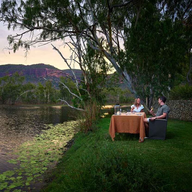 Dining Under The Stars