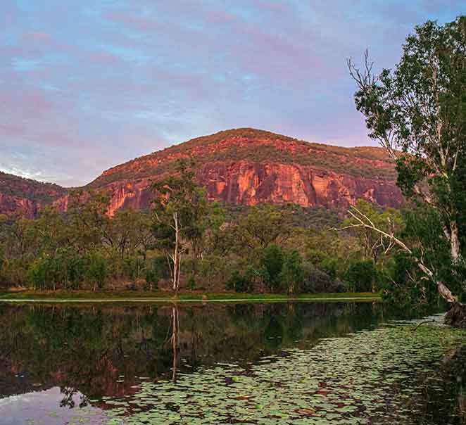 Spring at Mt Mulligan Lodge