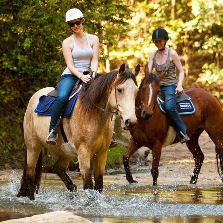 Horse Riding At Glenworth Valley