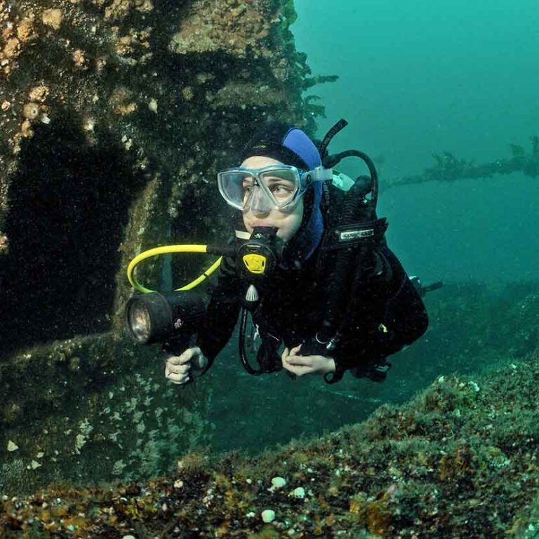 Shipwreck Diving Off Avoca Beach