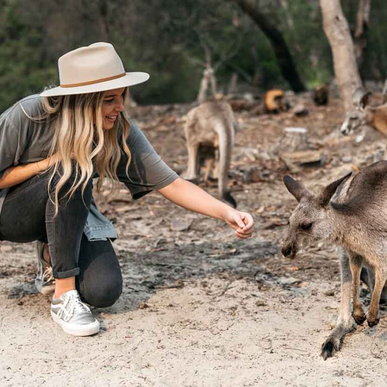 Wildlife Tour