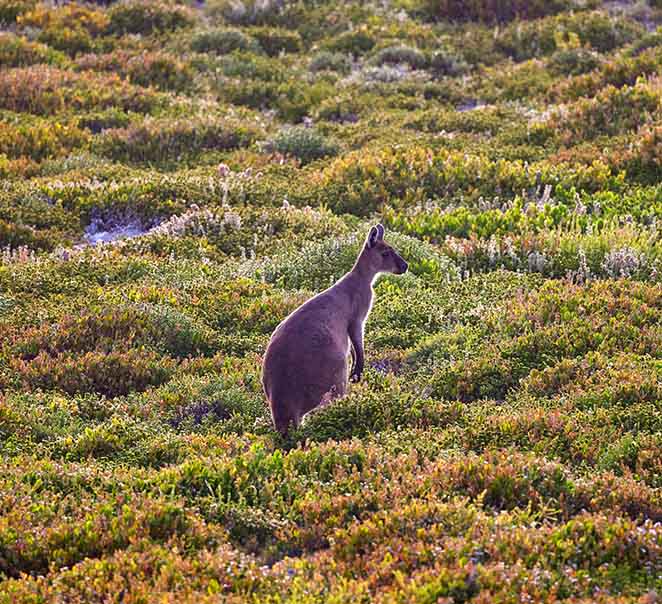 Winter at Southern Ocean Lodge