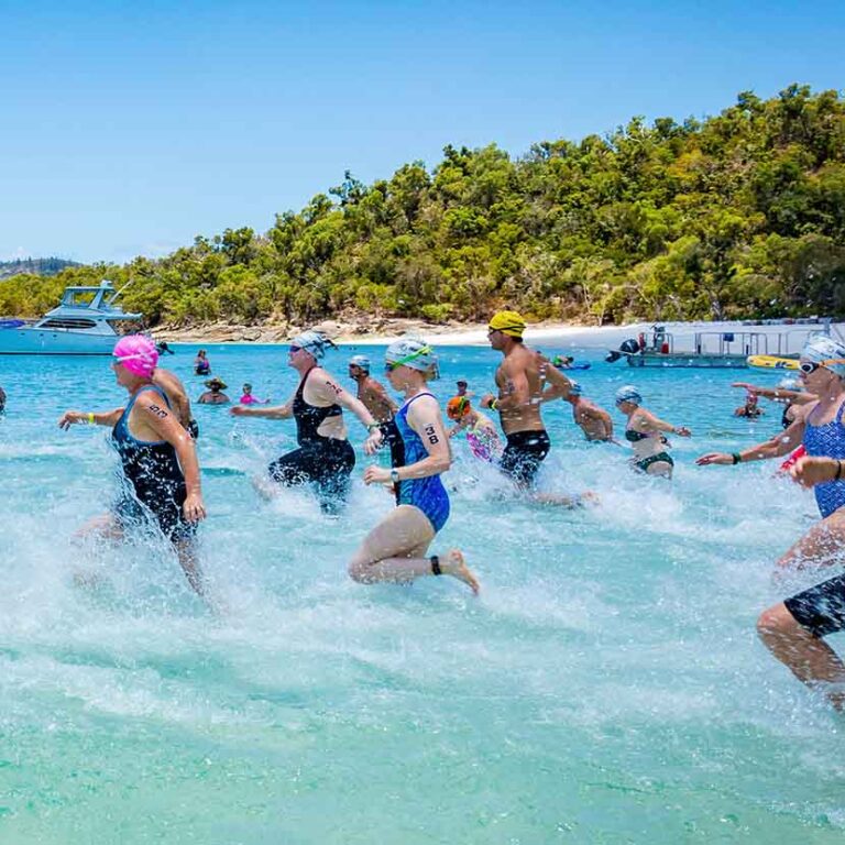 Hamilton /sland Ocean Swim