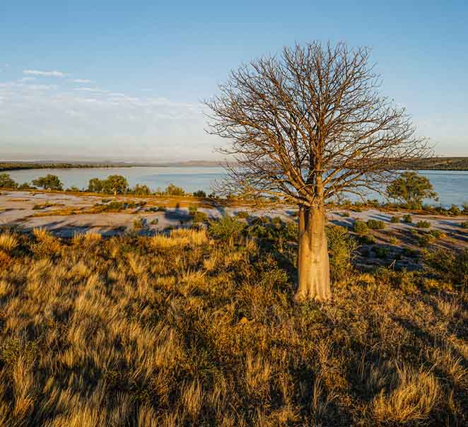Spring at Bullo River Station