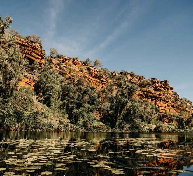 Autumn at Bullo River Station