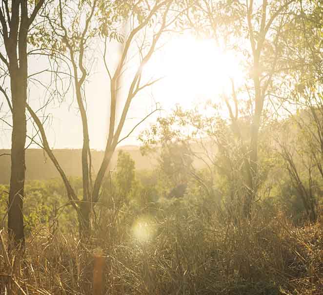 Winter at El Questro Homestead