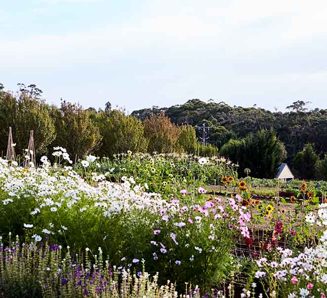 Spring at Lake House & Dairy Flat Lodge