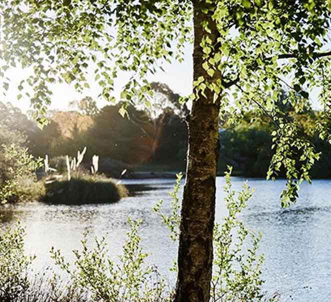Summer at Lake House & Dairy Flat Lodge