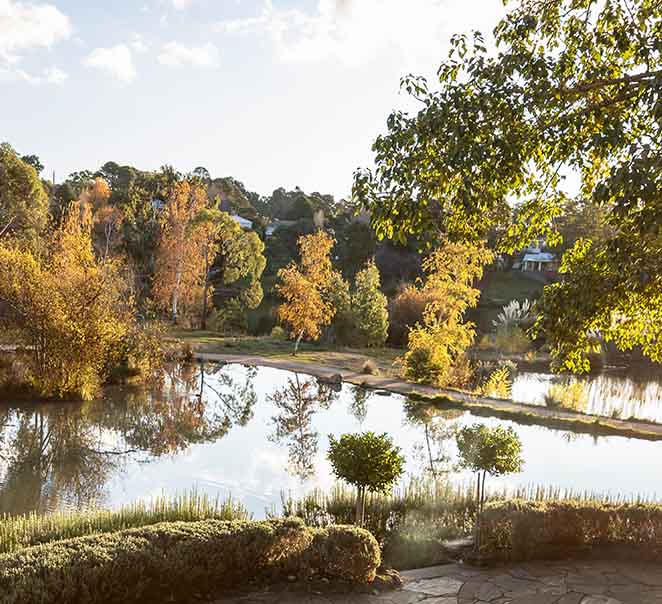 Autumn at Lake House & Dairy Flat Lodge