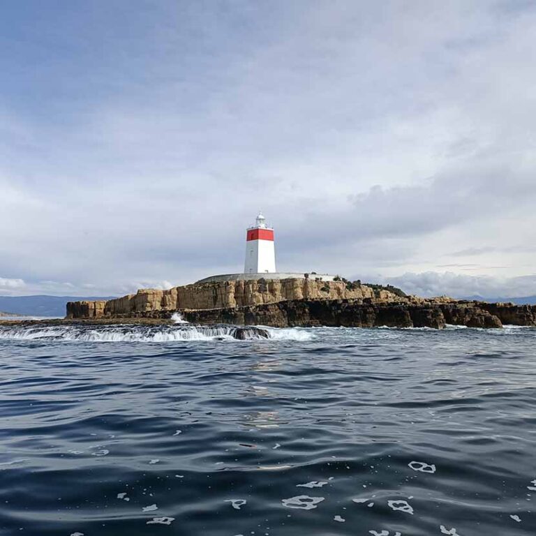 Lighthouses & Shipwrecks