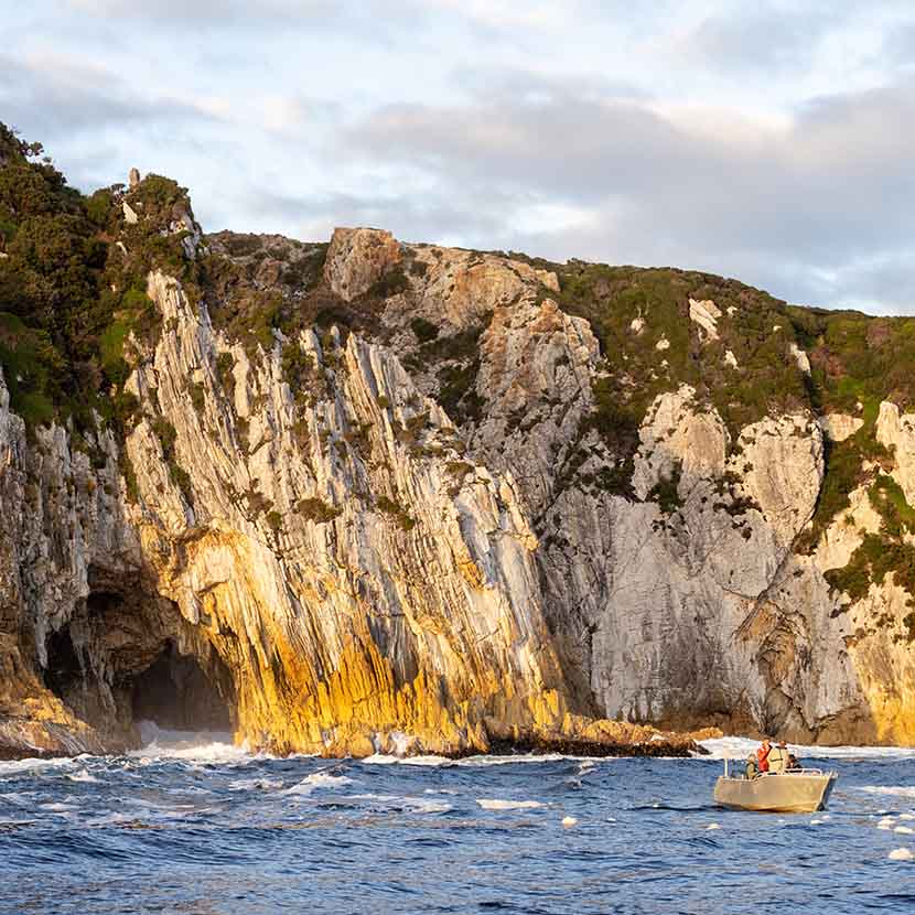 Breaksea Islands Adventure Boat Excursion - Luxurylodgesofaustralia.com.au