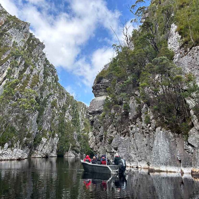 Davey River Gorge Adventure Boat Excursion