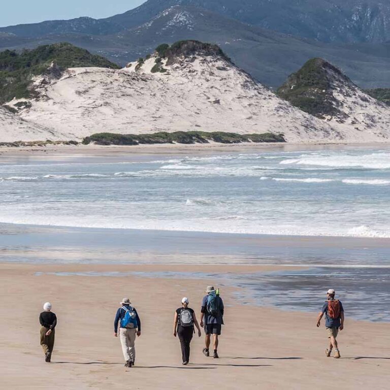 Southern Ocean Beach Walk