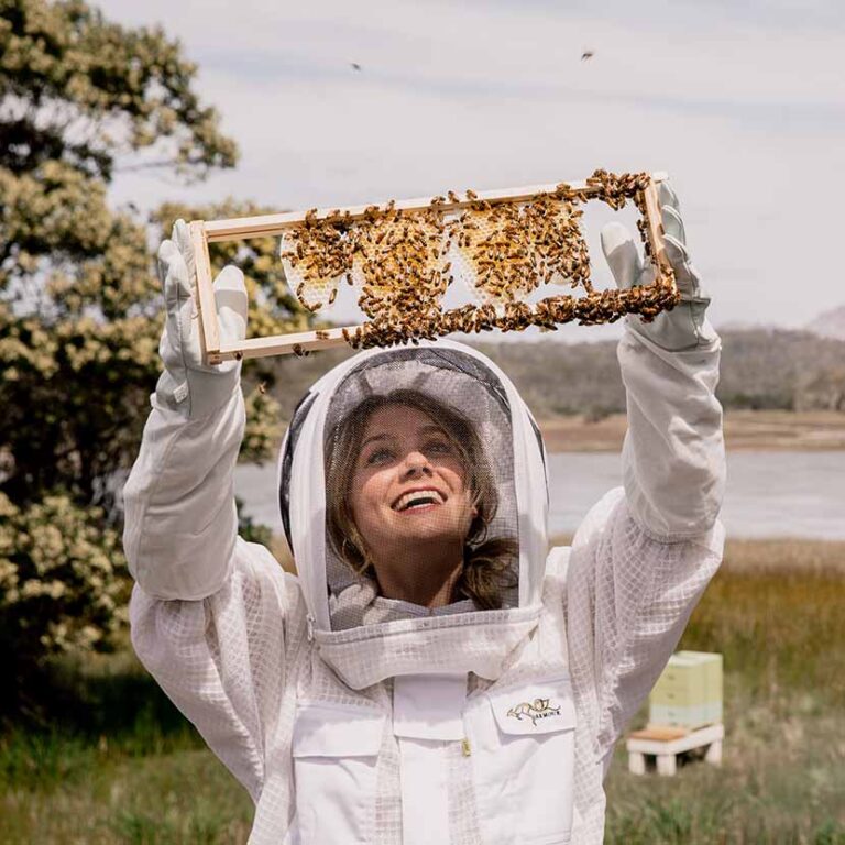 Beekeeping Experience