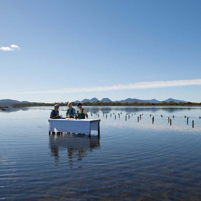 Freycinet Marine Oyster Farm