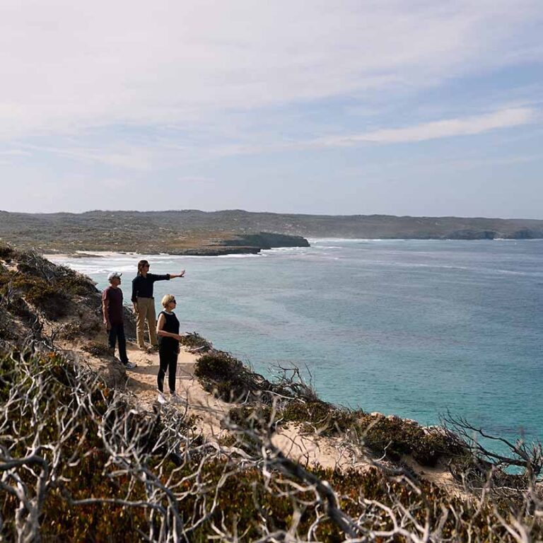 Coastal Clifftop Walk