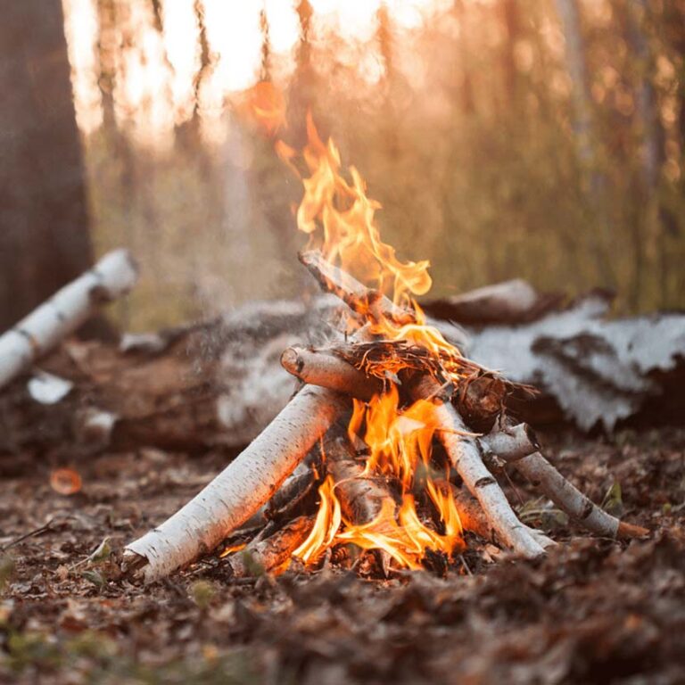 Bushcraft At Spicers Peak Lodge