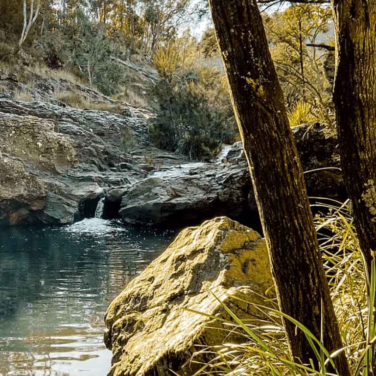 Millar Vale Creek Hike