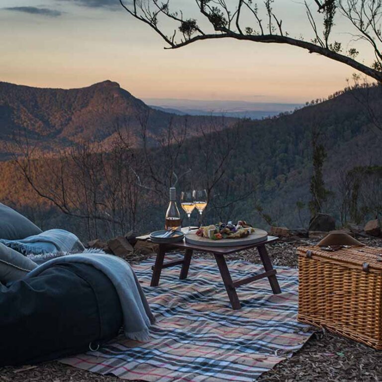 Picnic With A View