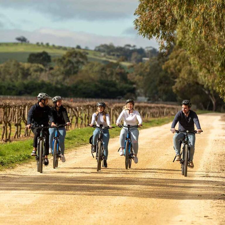 Barossa By Bike