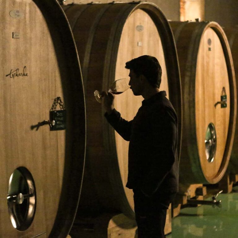 Tscharke Tours & Tastings