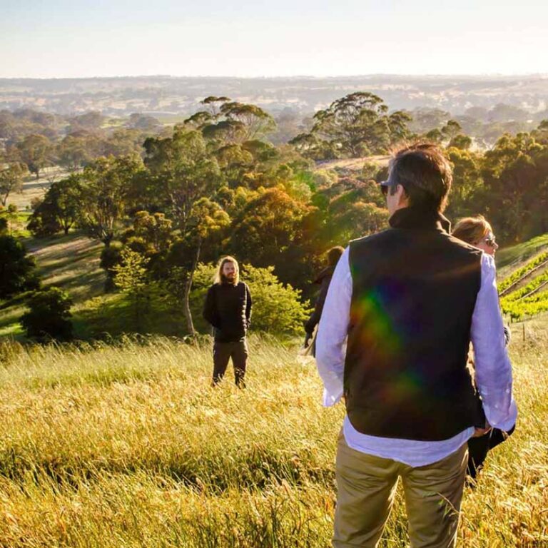 Two Hands Wines ‘Rolling Through the Ranges’