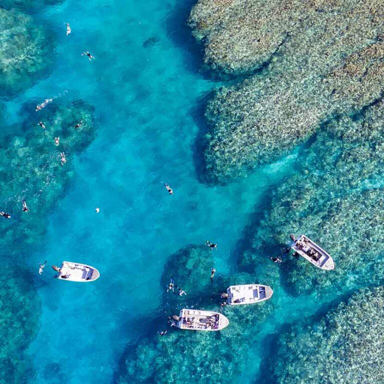 The Magnificent Rowley Shoals